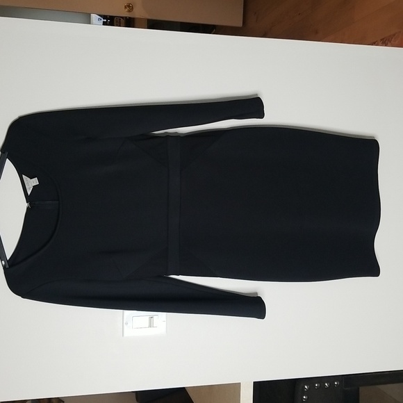 belle sky Dresses & Skirts - Belle sky Bodycon longsleeve dress NWOT hidden zip
